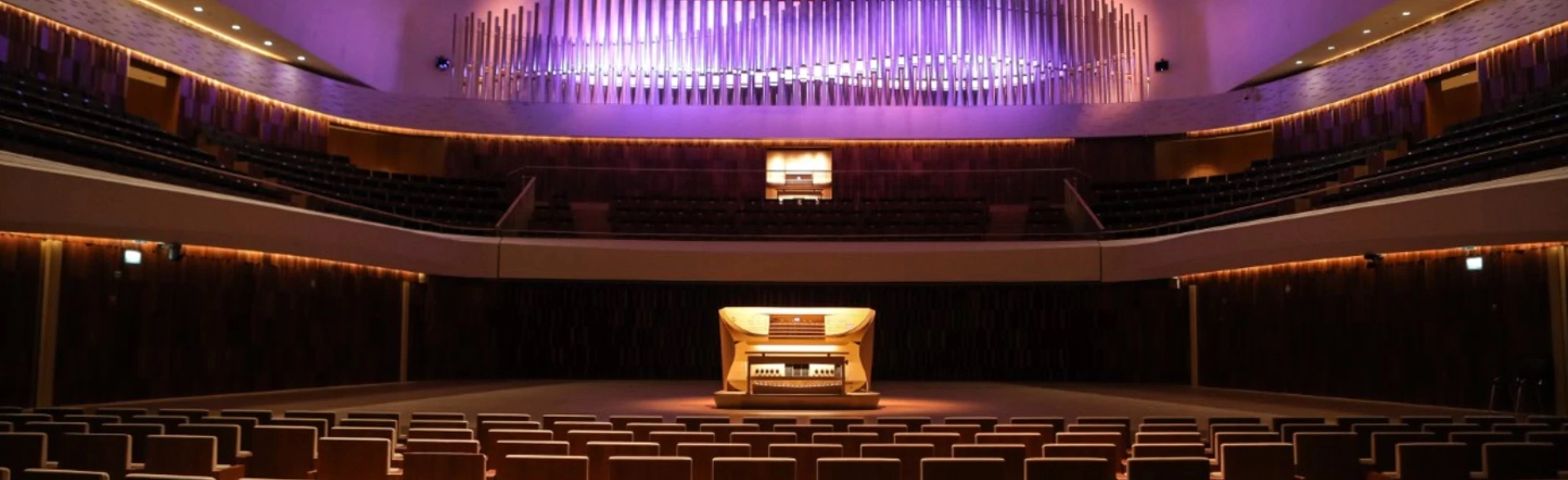 Постер Органная экскурсия по Залу Зарядье