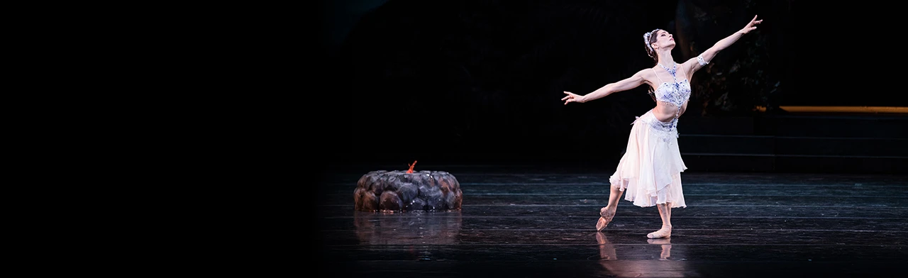 Постер Баядерка