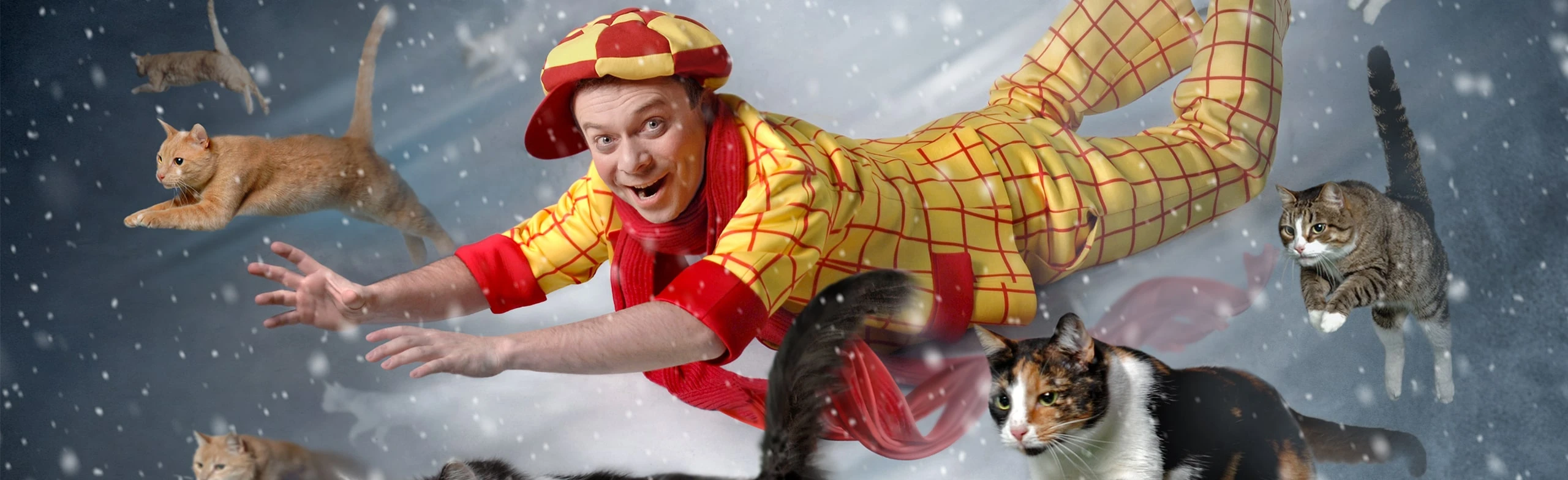 Постер Котобум в Москве