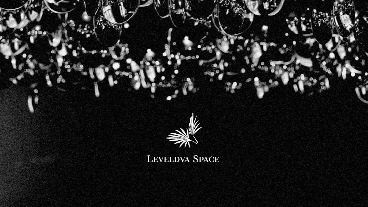 Постер Leveldva