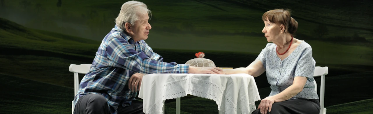 Постер Земля Эльзы