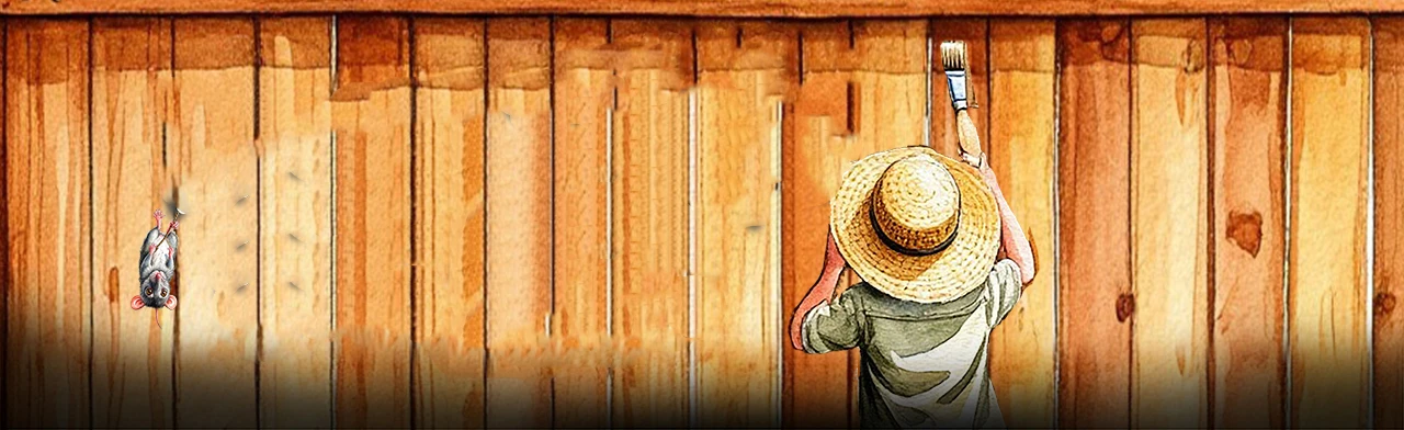 Постер Приключения Тома Сойера