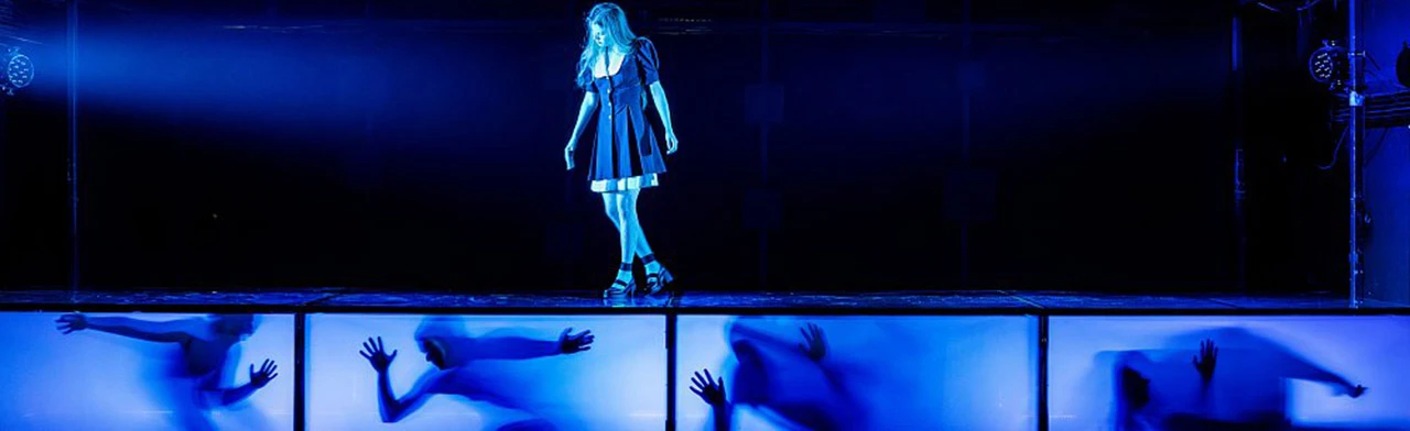 Постер Парадокс скворца