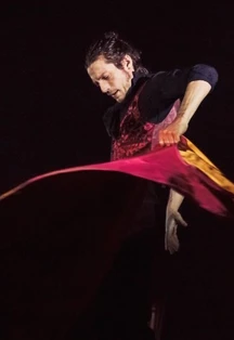 Постер Фламенко Андалусии. Flamenco-live в Москве