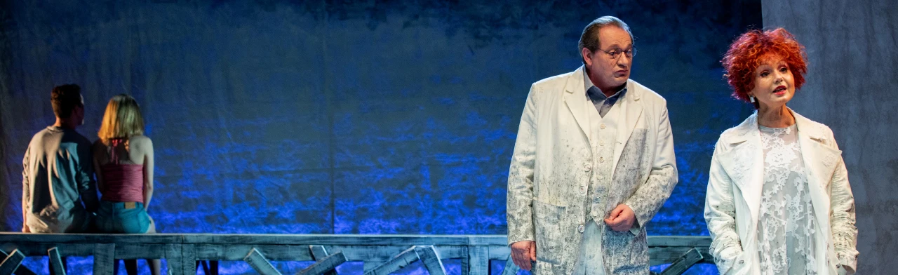 Постер СтароМодная комедия