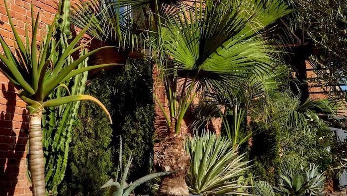 Постер Оранжерея на «Комсомольской»