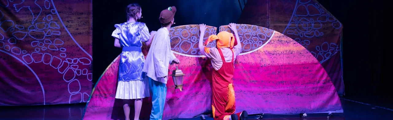 Постер Синяя птица в Москве