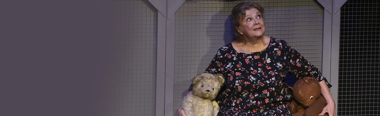 Постер Баба голубиная в Москве