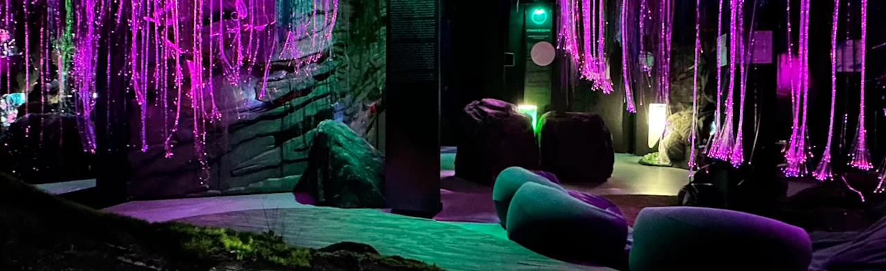 Постер Sense. Почувствуй стихии