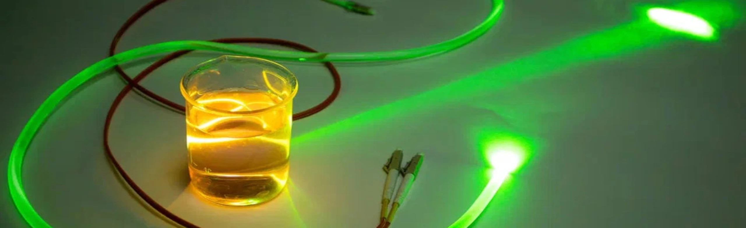 Постер Куда ведут свет?