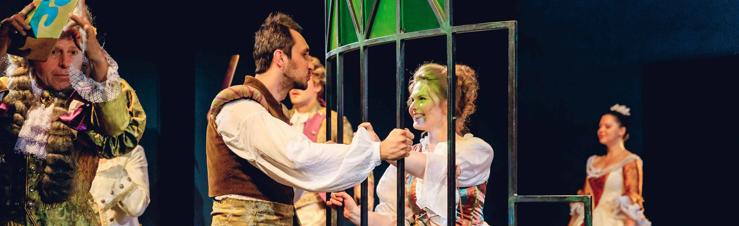 Постер Дурочка