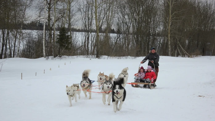 Постер Парк отдыха «Зооферма Шихово»