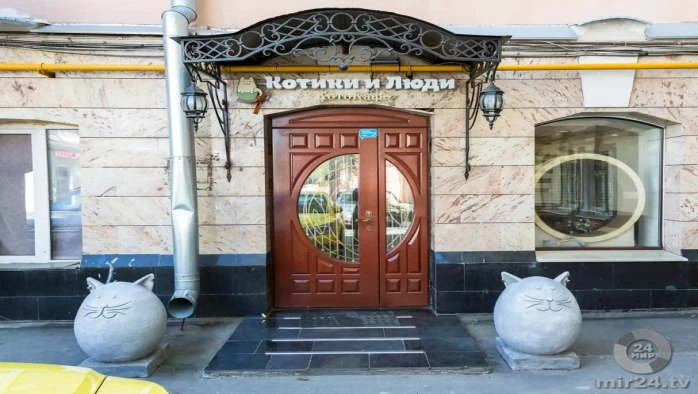 Постер Котокафе «Котики и люди»