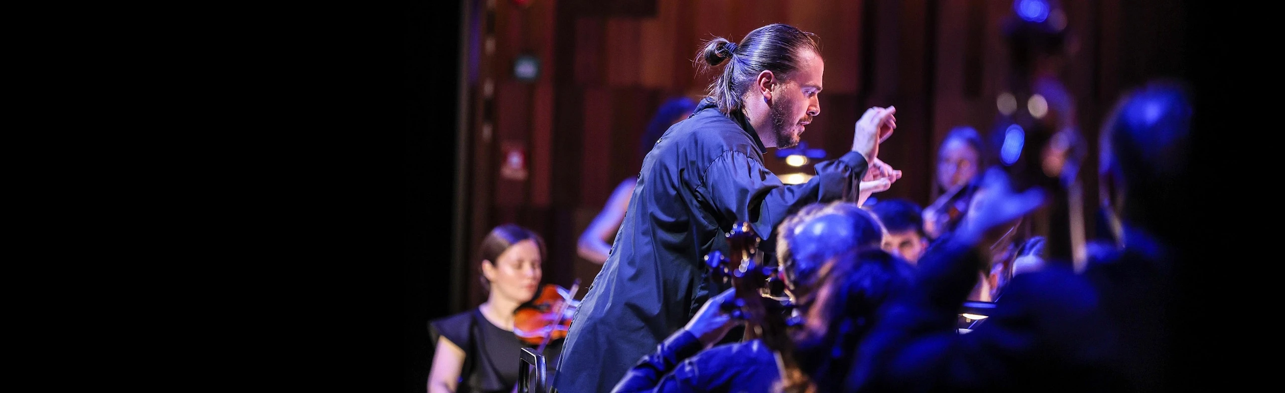 Постер Ансамбль La Voce Strumentale