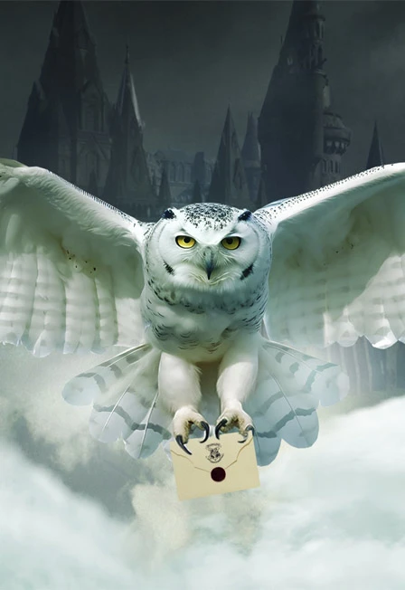 Постер Гарри Поттер. Оркестр Sonorus в Москве