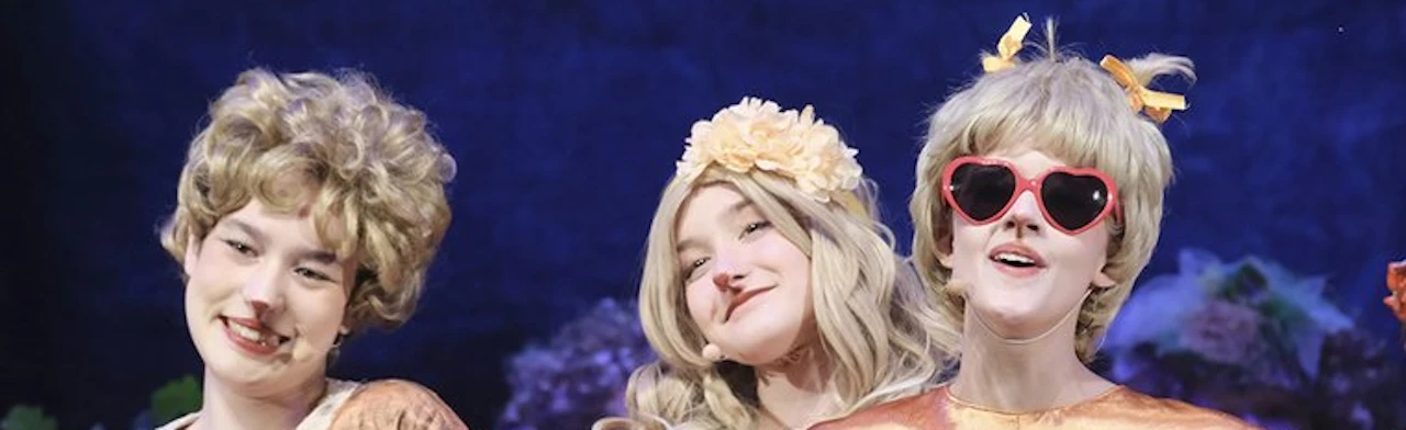 Постер Музыкальная комедия «Весенняя лихорадка» в Москве