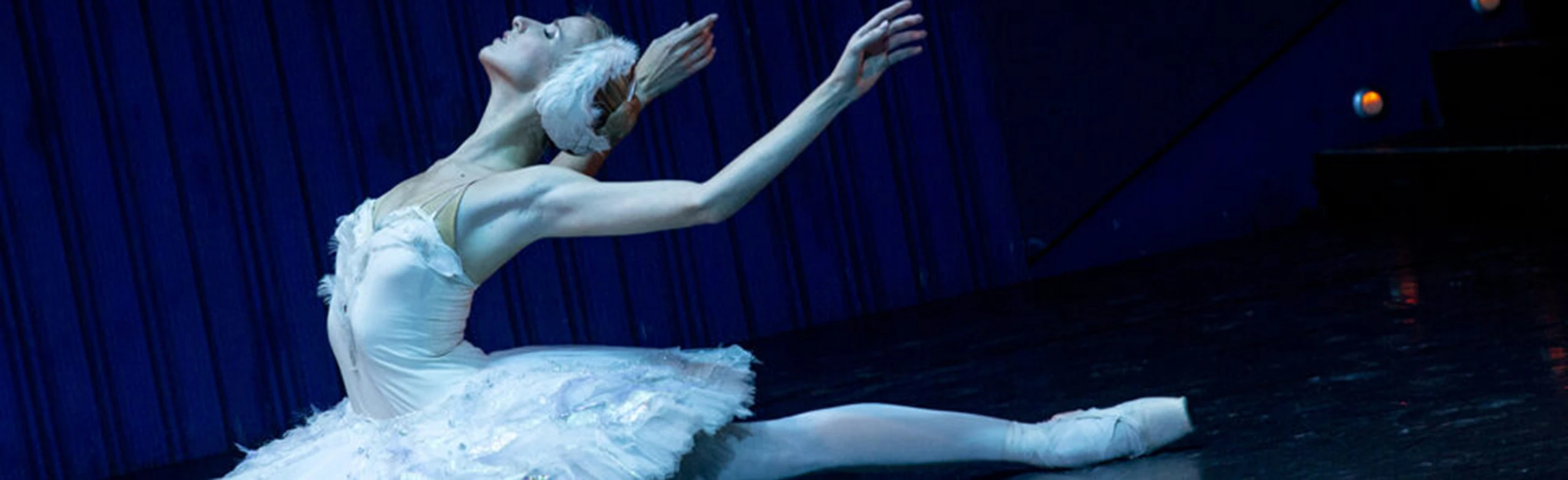 Постер BalletGala. Гала-Балет