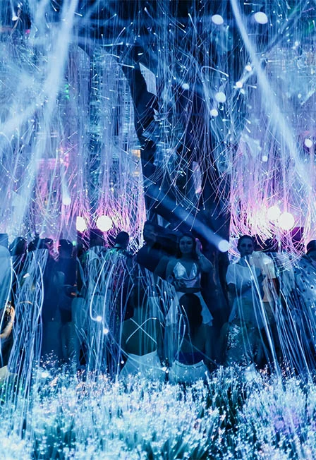 Постер Evolution: Prime Era в Москве