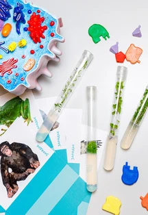 Постер Тайны биотехнологии в Москве