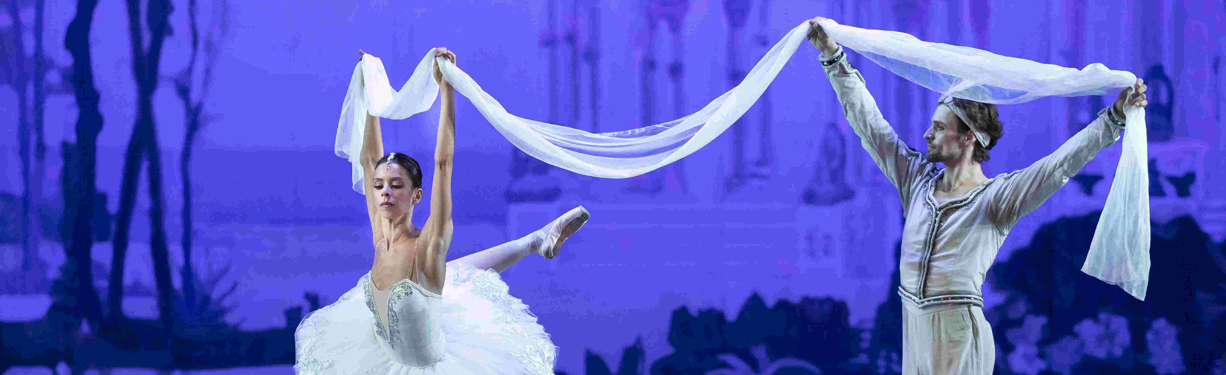 Постер Баядерка в Москве