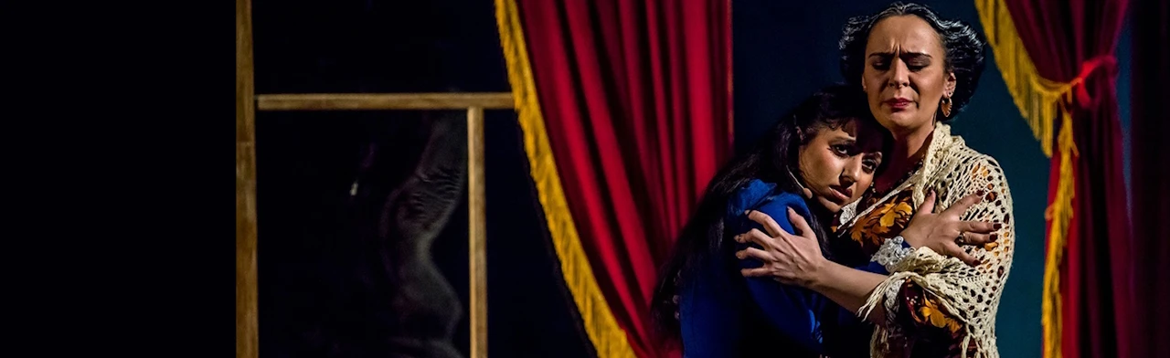 Постер Поющие струны души