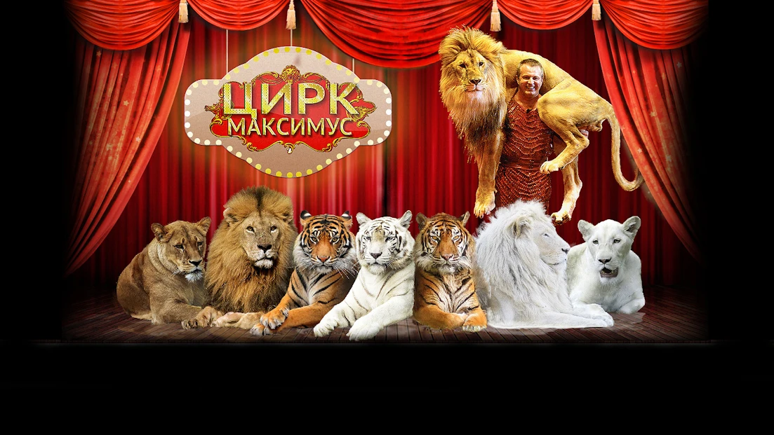 Постер Цирк «Максимус» (г. Раменское)