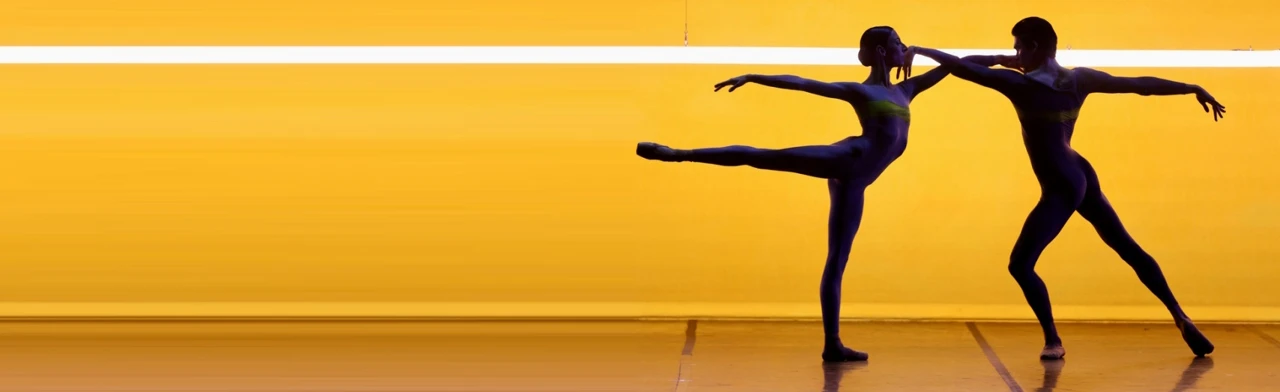 Постер Брух. Сюита. Холст I в Москве