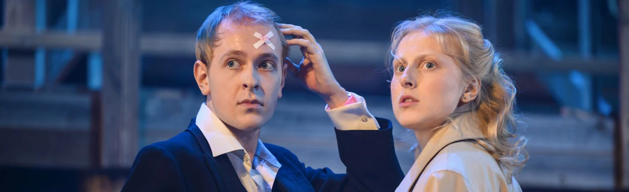 Постер Чайка