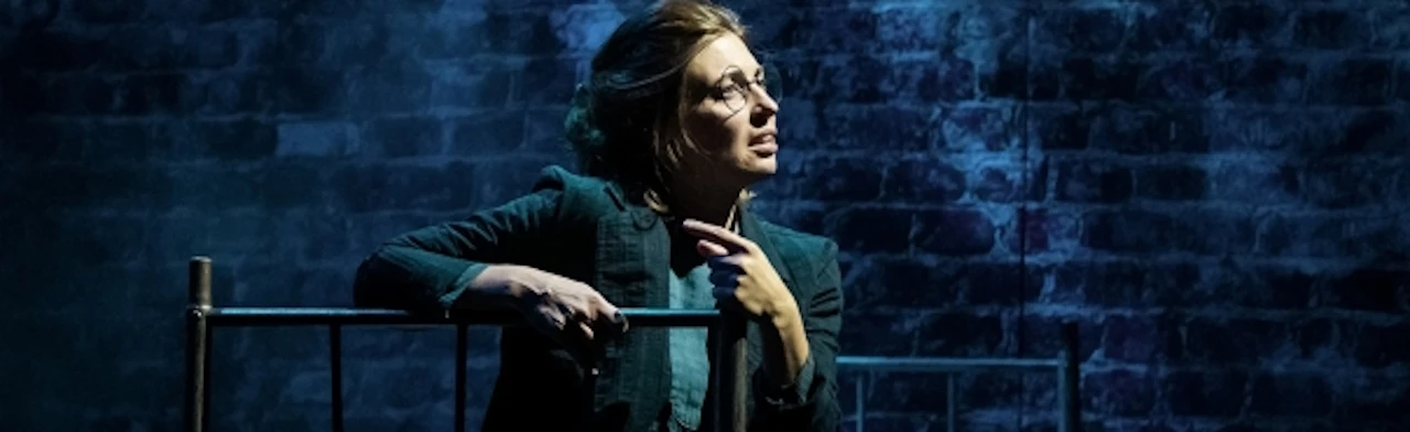 Постер Фанни