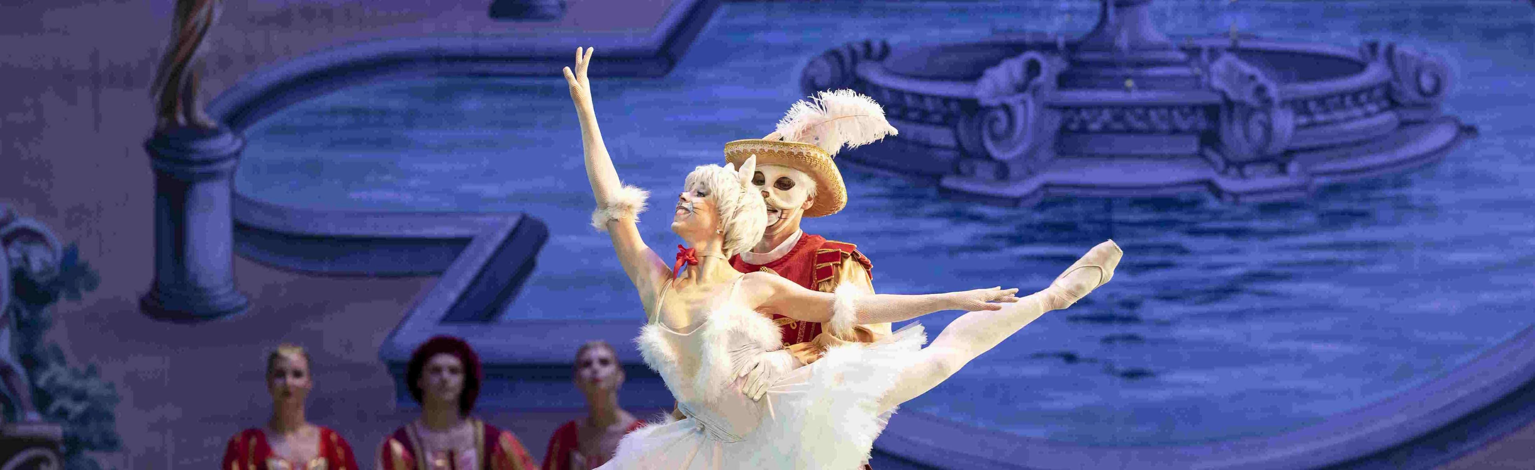 Постер Спящая красавица в Москве