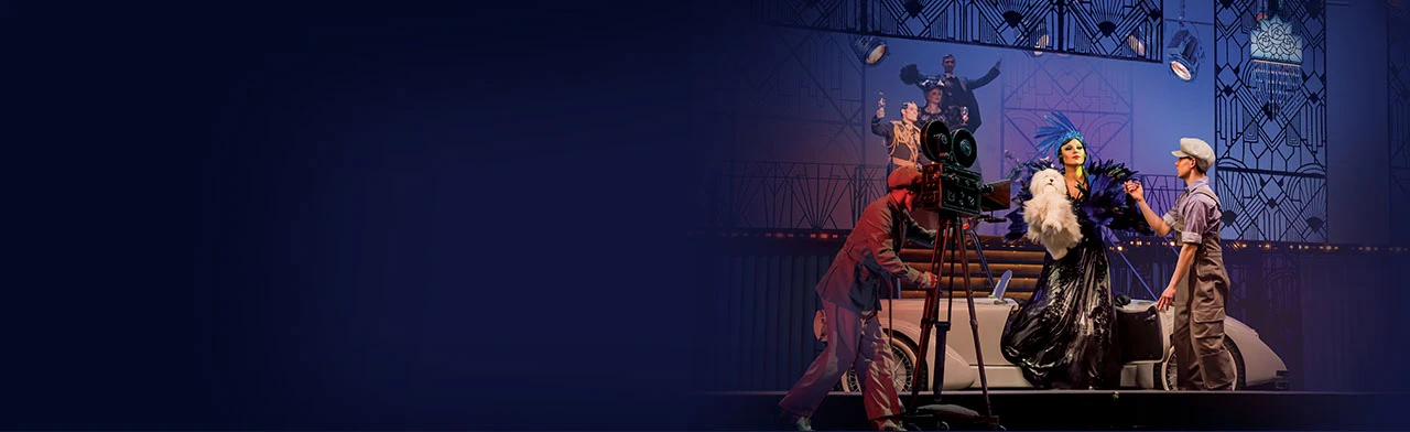 Постер Весёлая вдова