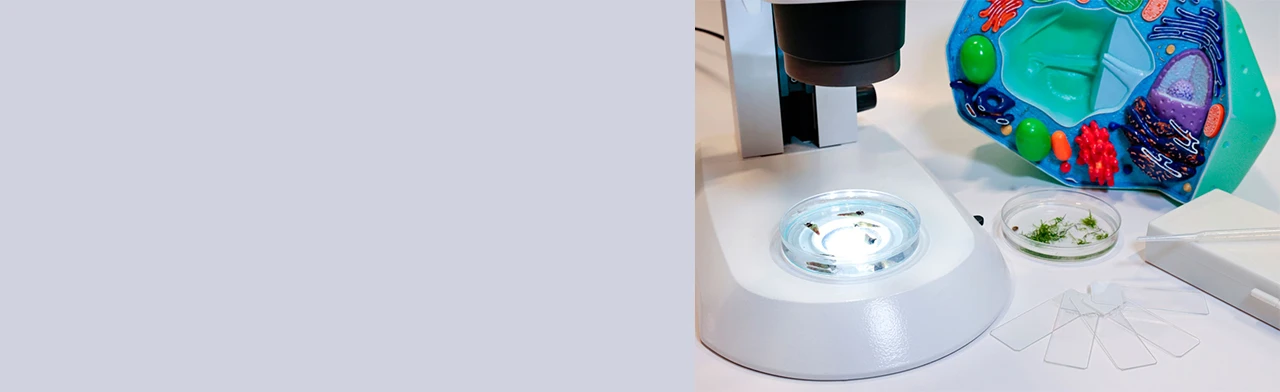 Постер Кто в пруду?