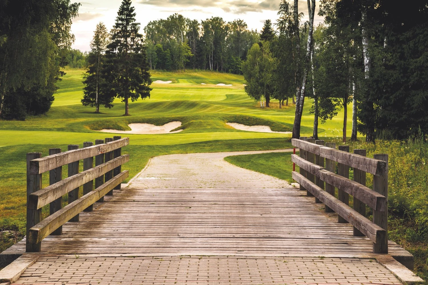 Постер Forest Hills Golf Club