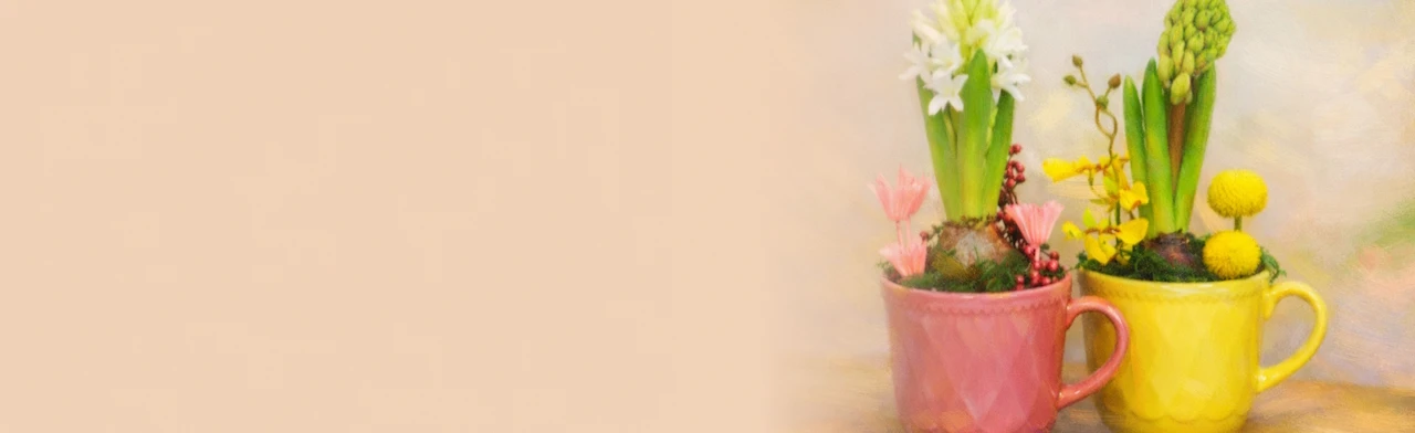 Постер Мастер-класс «Цветочная композиция с живым гиацинтом» в Москве