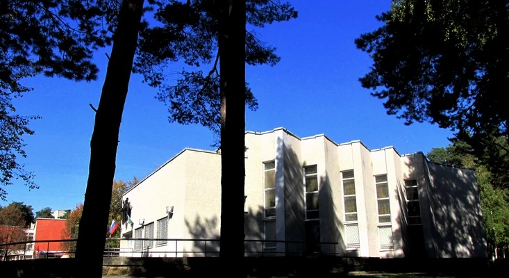 Постер Детская школа искусств (г. Протвино)