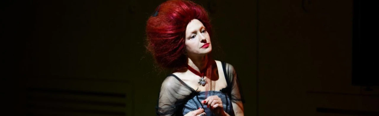 Постер Идиотология в Москве