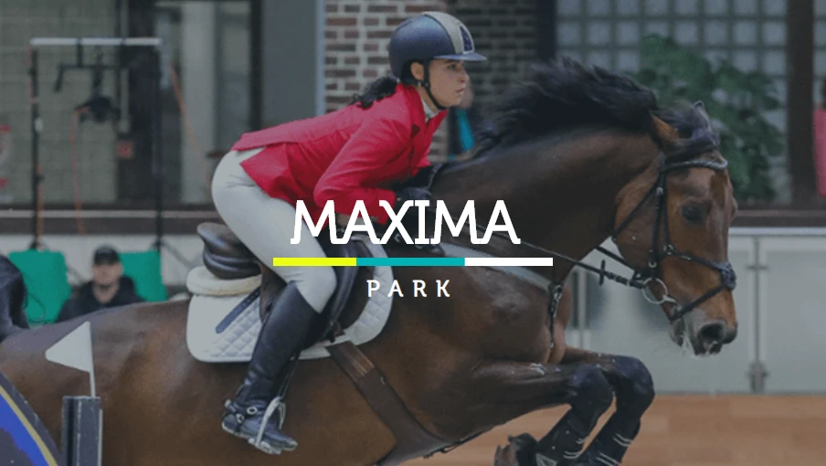 Постер Maxima Park
