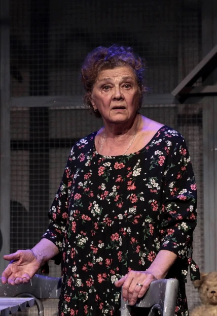 Постер Баба голубиная в Москве