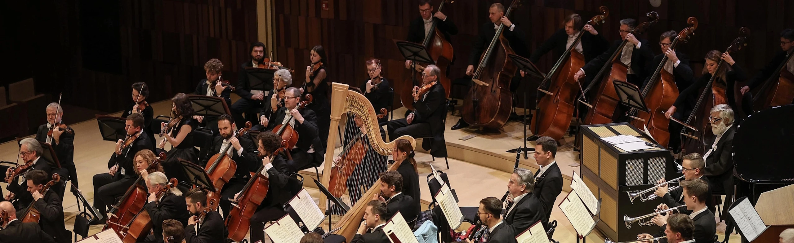 Постер Большой симфонический оркестр им. П.И. Чайковского