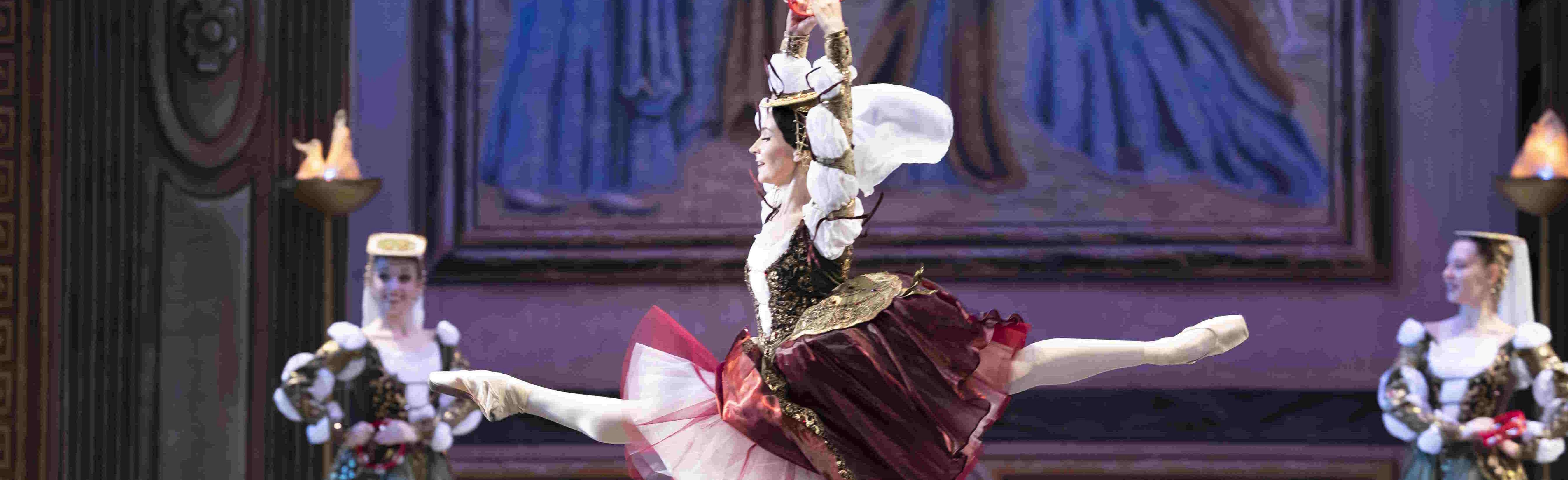 Постер Лебединое озеро