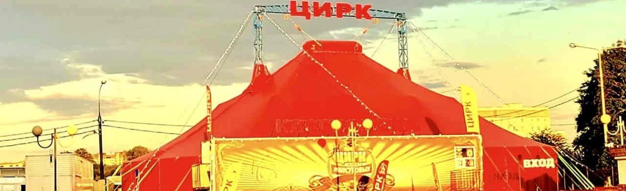 Постер Цирк Мансуровых (г. Мытищи)