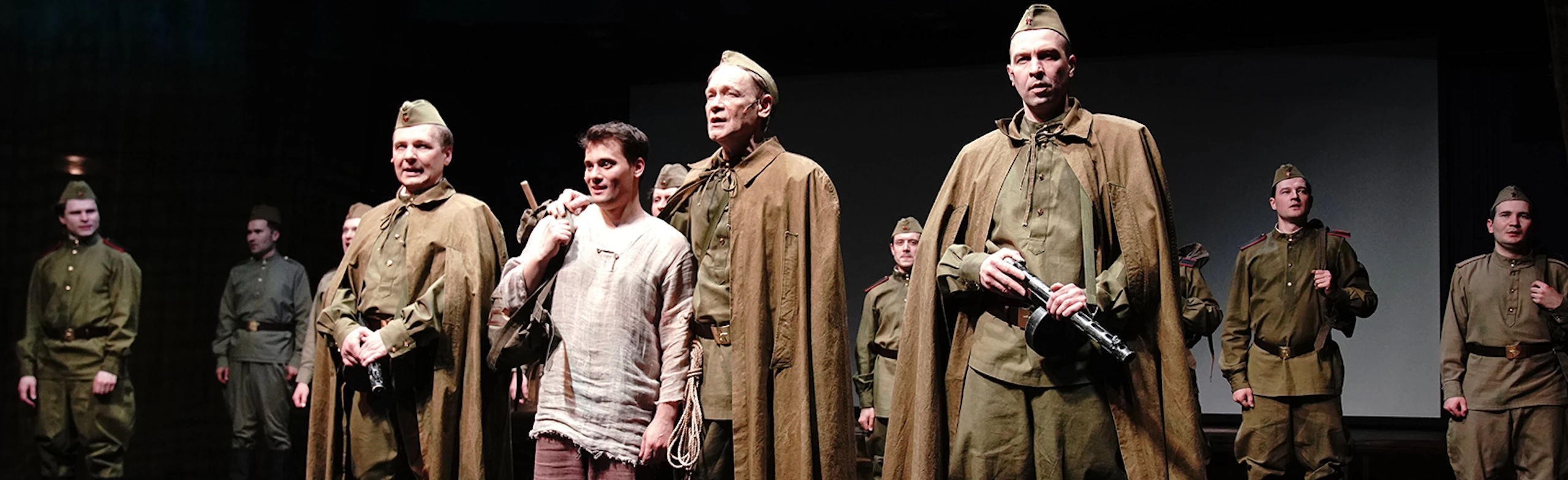 Постер Сын полка