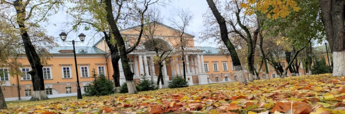 Постер Усадьба Разумовского