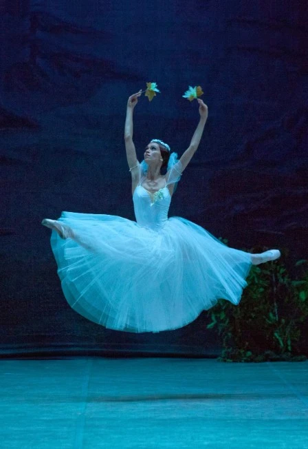 Постер Жизель в Москве