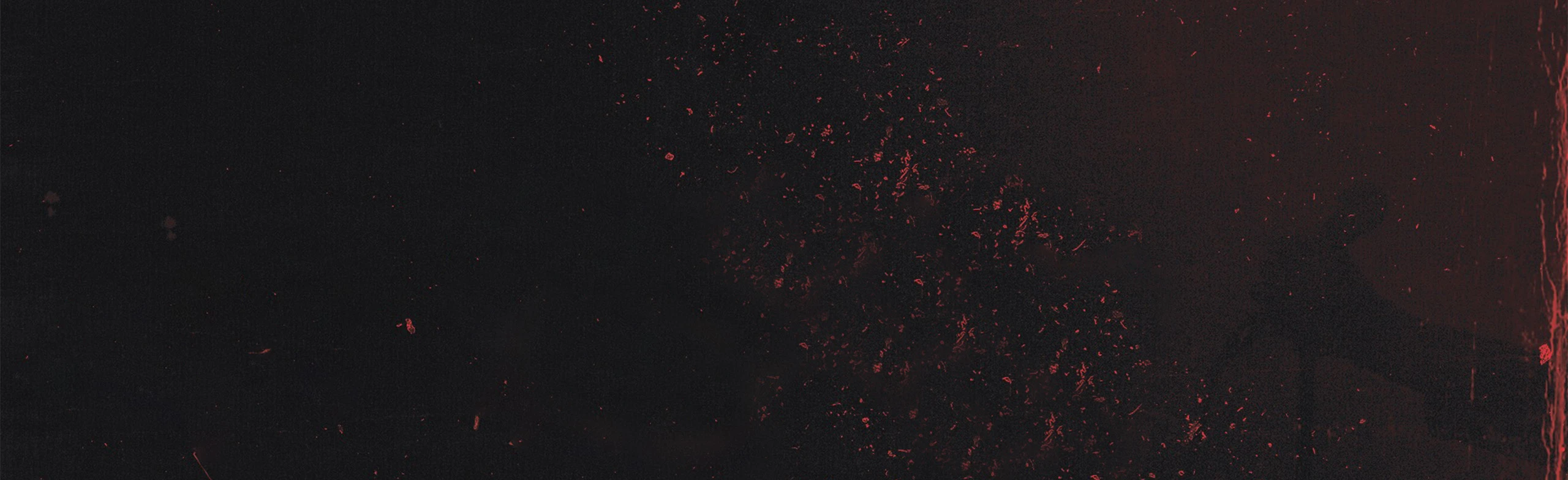 Постер Собаки Табака