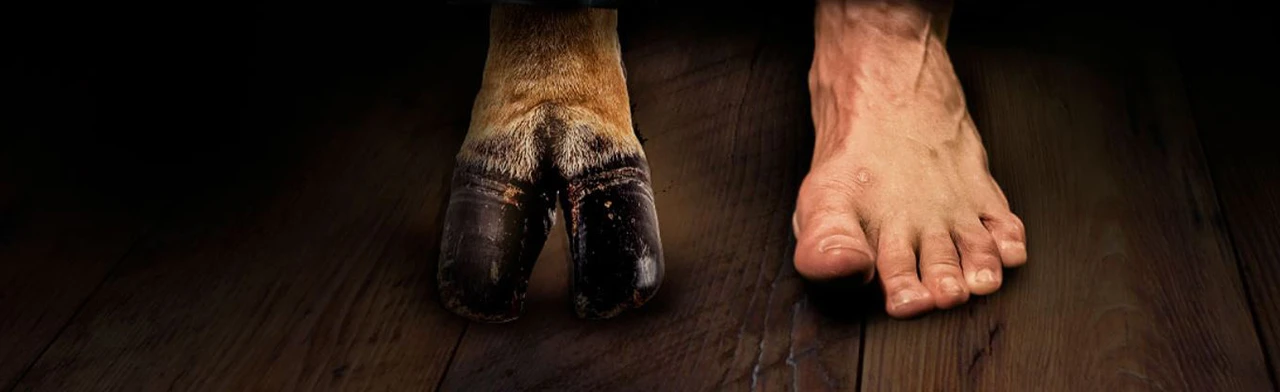 Постер Скотный двор