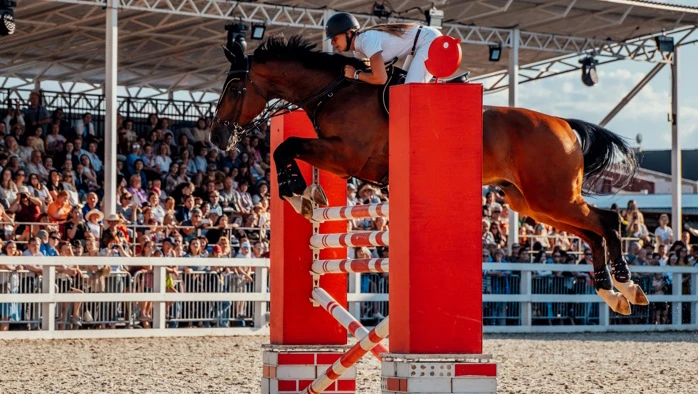 Постер Загородный комплекс Horseka