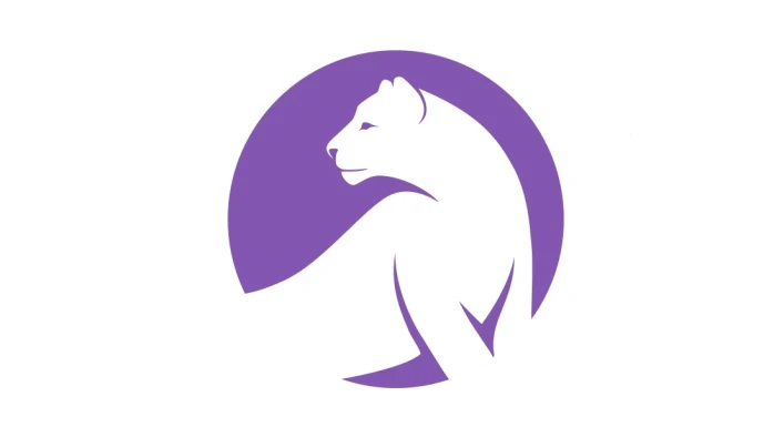 Постер Студия «Ирбис» (Коломенская)