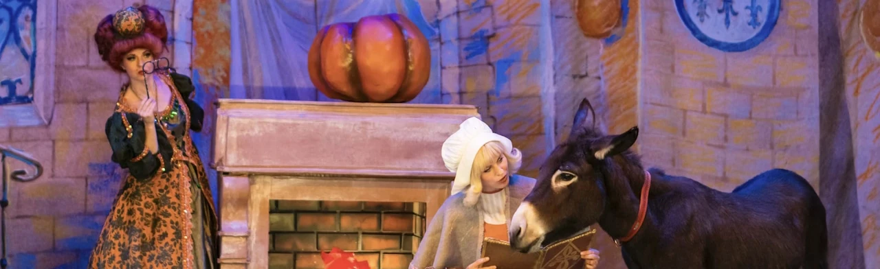 Постер История хрустальной туфельки