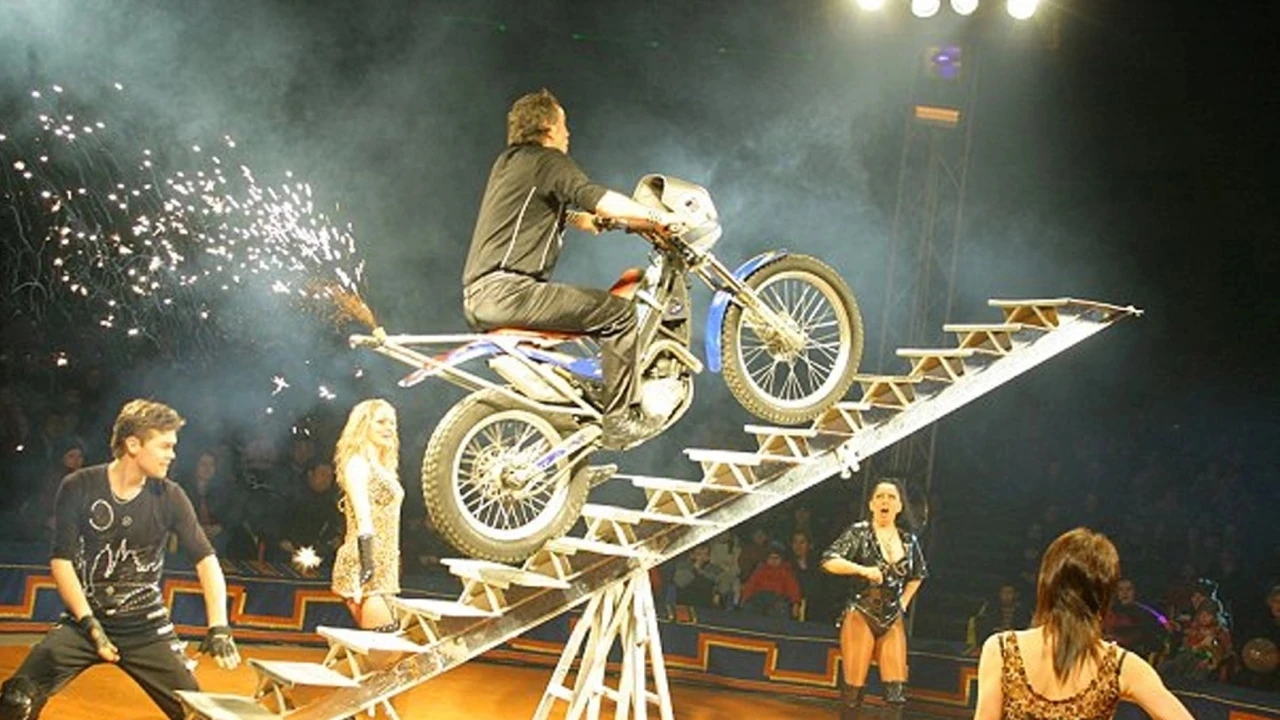 Постер Цирк Мансуровых (г. Сергиев-Посад)